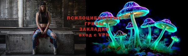винт Арсеньев