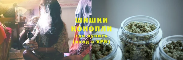 ГАЛЛЮЦИНОГЕННЫЕ ГРИБЫ Армянск