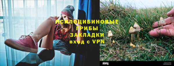 винт Арсеньев