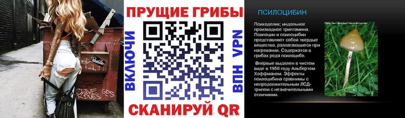 Галлюциногенные грибы Cubensis Октябрьский