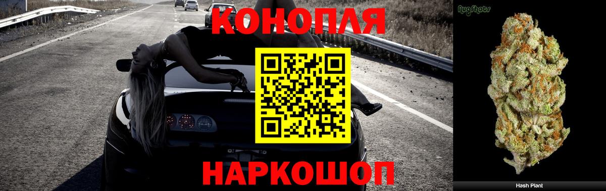 Каннабис ГИДРОПОН  МАРИХУАНА White Widow  Октябрьский  Конопля семена  Вход с VPN 